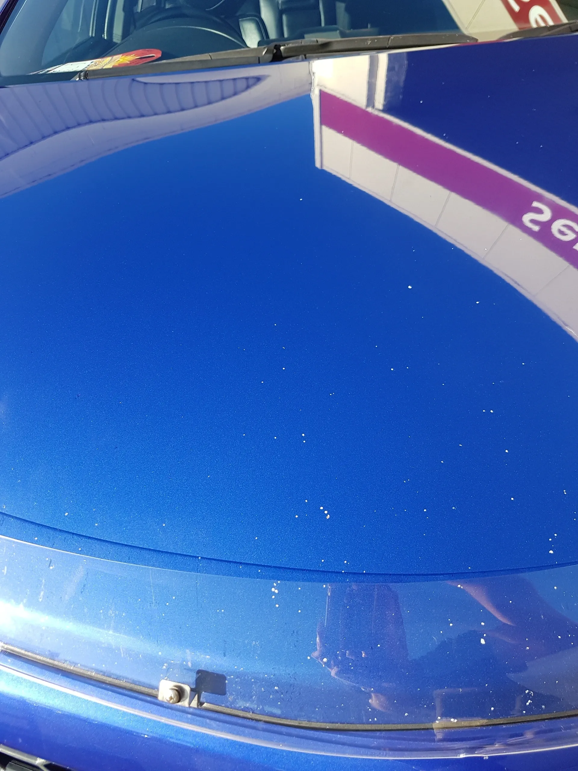 Paint Chips Before